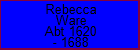 Rebecca Ware